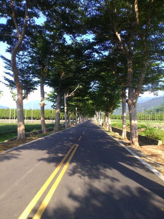 Tai Yu Ju Bao Fang B&B Luye Bagian luar foto